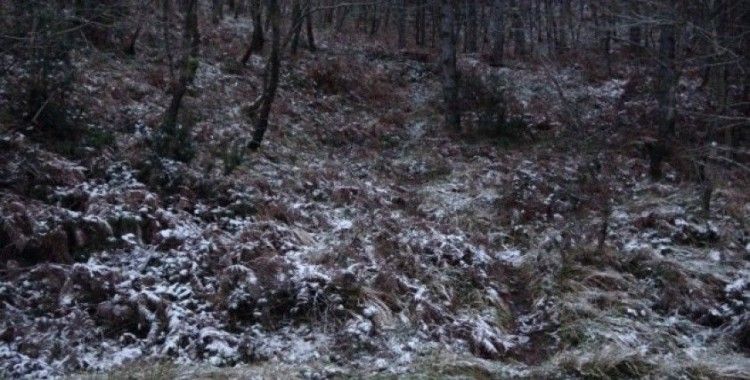 İstanbul'da kar yağdı, Aydos Ormanı beyaz örtüyle kaplandı