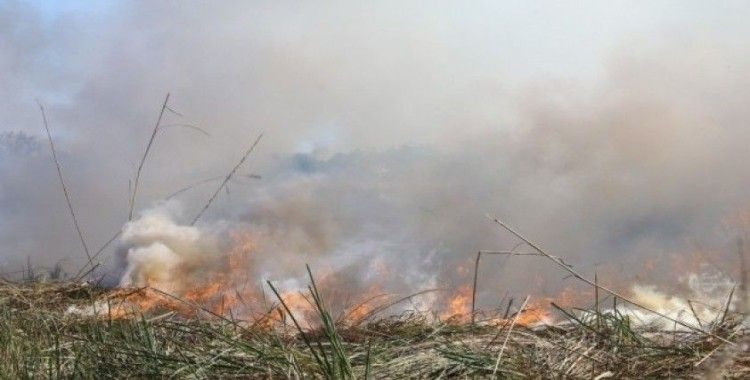 Antalya’daki sazlık yangını kontrol altına alındı