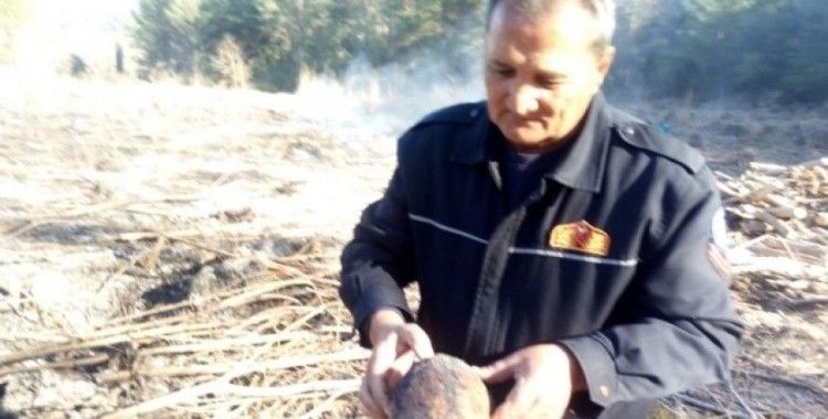 Seydikemer’de yanmak üzere olan kaplumbağayı itfaiye ekipleri kurtardı