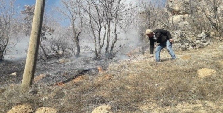 Ağaçlık alandaki yangına vatandaşlar müdahale etti