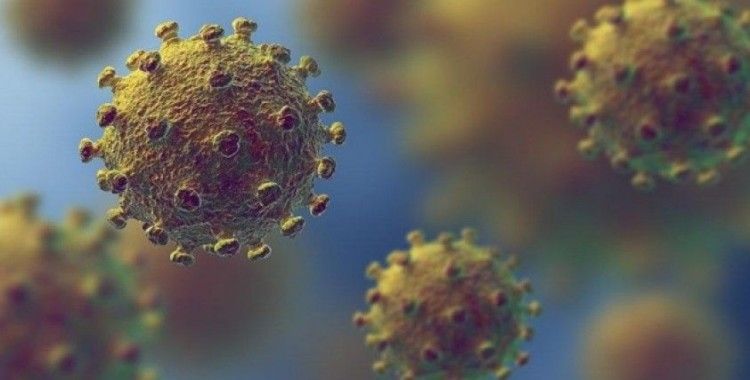 Finlandiya'da ilk korona virüsü vakası