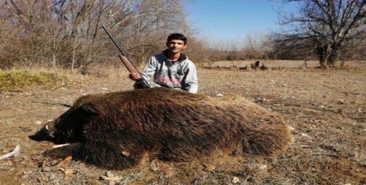 1 ay takip etti, 300 kiloluk yaban domuzunu vurdu