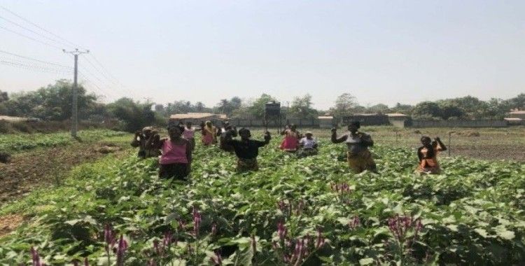 TİKA’dan Gineli kadınlara tarım alanında istihdam