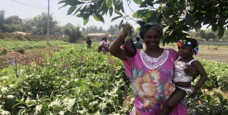 TİKA'dan Gine'de kadınlar için tarım istihdamı