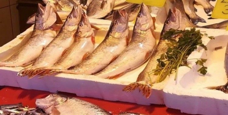 Üreme dönemindeki balıkların satışına 30 bin lira ceza