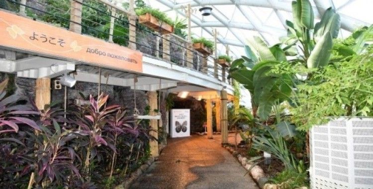 Tropikal Kelebek Bahçesi yenilenen yüzüyle kapılarını açıyor