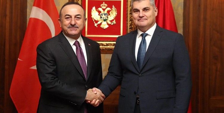 Çavuşoğlu, Karadağ Meclis Başkanı Brajoviç ile görüştü