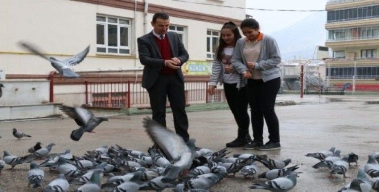 Okul bahçesini mesken tutan güvercinleri öğretmenlerle öğrenciler yemliyor