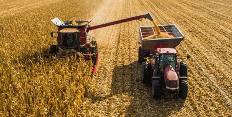 Tarım-ÜFE ocakta yüzde 10,41 arttı