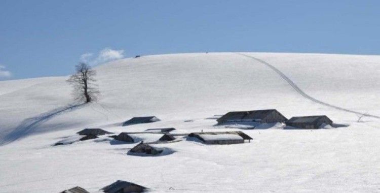 Kardüz Yaylası’nda kar kalınlığı 2.5 metreye ulaştı