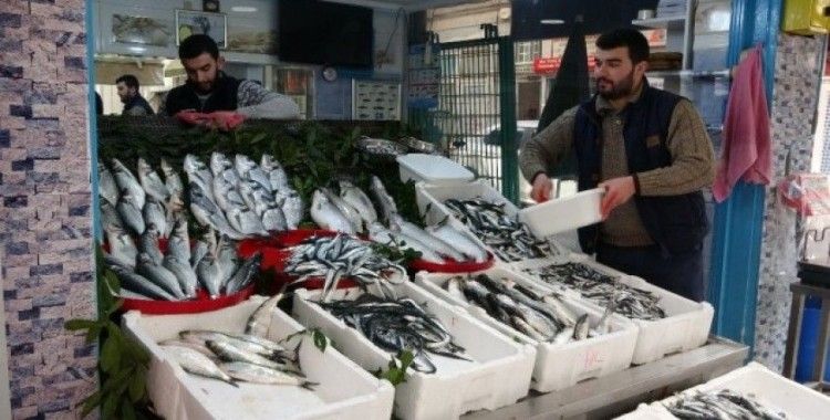 Balık cenneti Karadeniz’de en fazla bu balıklar talep görüyor