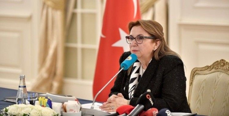 Ticaret Bakanı Pekcan: Türkiye ekonomisinin olumlu seyri göstergelere de yansıyor