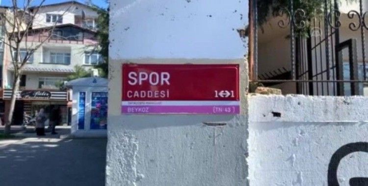 Japon Yarbay Yukichi Tsumura’ya Beykoz’dan vefa