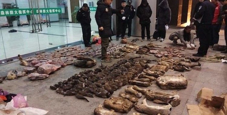Çin'den yabani hayvanların ticaretine yasak