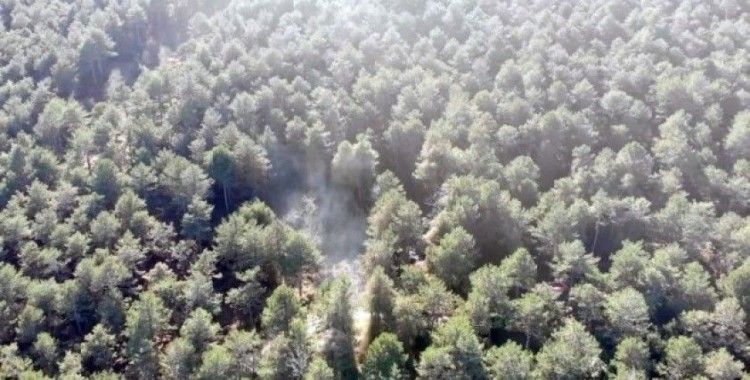 Aydos Ormanı’nda yangının çıktığı alan havadan görüntülendi