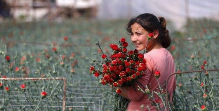 Türk çiçeği 50 ülkenin kadınları için hazırlanıyor
