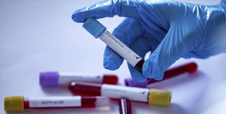 İsrail'de koronavirüsü vakaları 255'e ulaştı