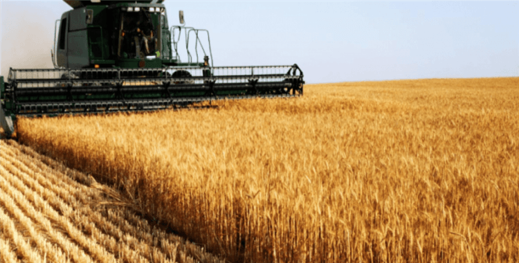 Tarım-ÜFE yıllık yüzde 10,22, aylık yüzde 2,56 arttı