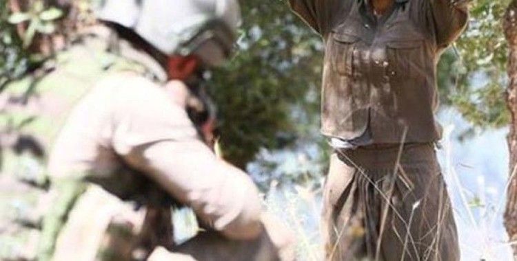 Teslim olan PKK'lıdan itiraf: 'Mehmet Süleymanoğlu İstanbul'da bombalı eylem talimatı aldı'