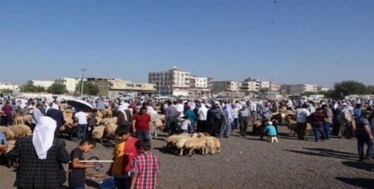 Viranşehir’de hayvan pazarı kapatıldı