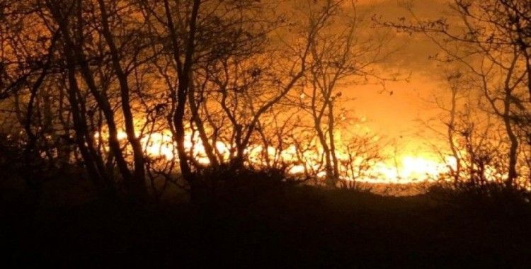 Manisa’da orman yangını büyümeden söndürüldü