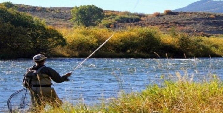 Sazangiller, Kadife, Şiraz ve Yayın balığı avlamak yasak
