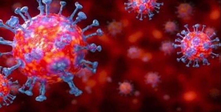 Azerbaycan'da 27 kişide daha korona virüs tespit edildi