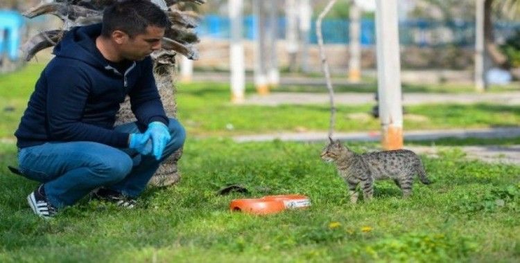 Muratpaşa’dan sokak hayvanlarına mama desteği