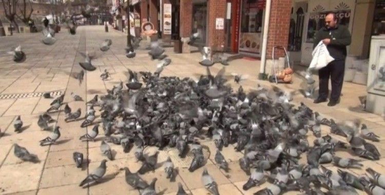 (Özel) Vatandaş evden çıkamayınca güvercinler aç kaldı