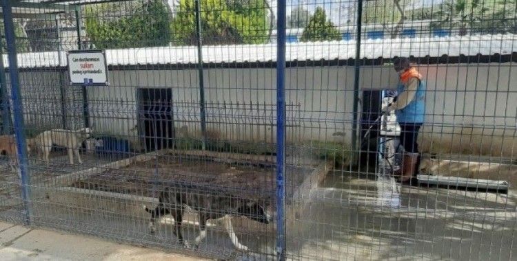 Kuşadası’nda hayvan bakım ve rehabilitasyon merkezi dezenfekte edildi