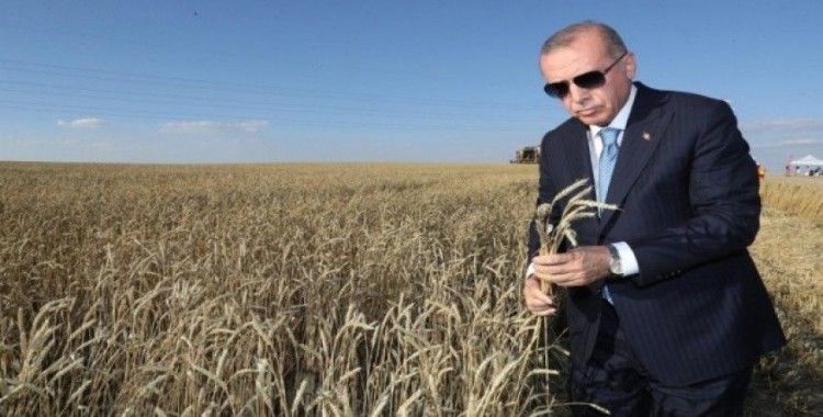 Erdoğan, Başkan Öz’ün dile getirdiği talebi çözüme kavuşturdu