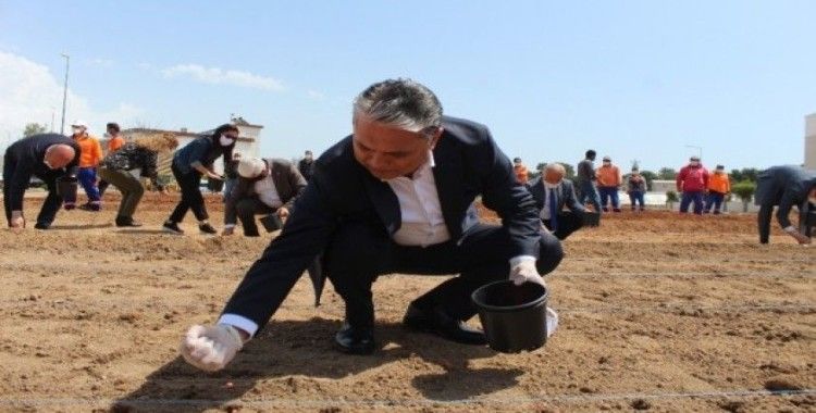 Muratpaşa Belediyesi, gıda krizi riskine karşı mısır ekimine başladı
