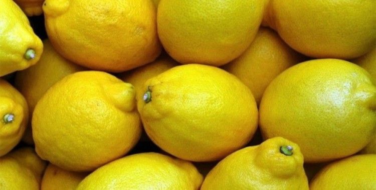 Limon fiyatlarına ihracat ayarı