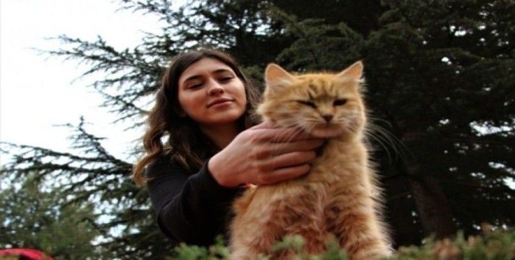 Elazığ’da üniversite öğrencisi, sokak hayvanlarını besliyor