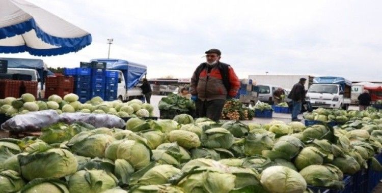 Ürün bolluğu yaşanan Antalya halinden Türkiye’ye sebze meyve sevkıyatı tam gaz devam ediyor