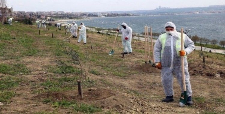 100’üncü yıl anısına 100 zeytin ağacı dikildi