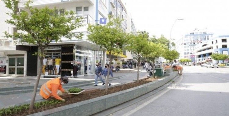 Büyükşehir Güllük Caddesi’ni 40 bin çiçekle süsleyecek