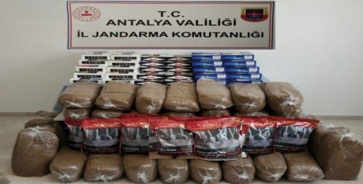 Antalya’da 50 bin kaçak makaron ve 165 kilo tütün ele geçirildi