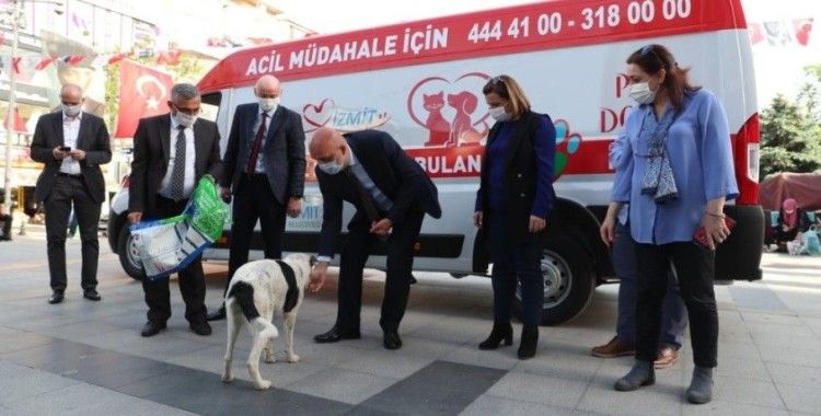 İzmit’te sokak hayvanlarının yadımına ambulans yetişecek
