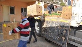 Gümüşhane'de çiftçilere 283 bin sebze fidesi dağıtıldı