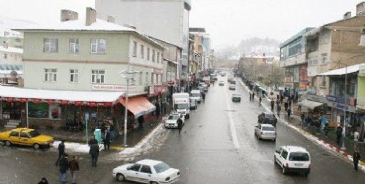 HDP'li Altınova Belde Belediye Başkanı Budak gözaltına alındı