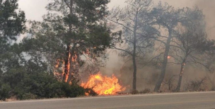 KKTC'de üç farklı bölgede yangın devam ediyor