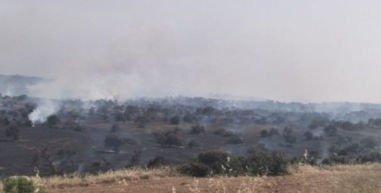 KKTC'de çıkan yangın kontrol altına alınamadı