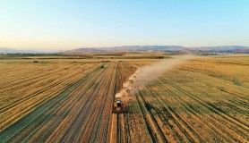 Kovid-19 tarımın önemini ortaya koydu