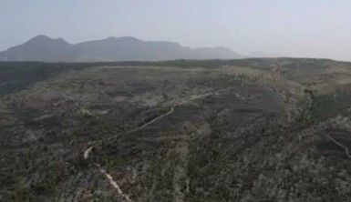 KKTC'de çıkan yangın kontrol altına alındı