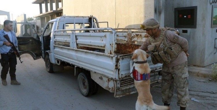 Telabyad ve Resulayn'da drone ve bomba arama köpeği devri