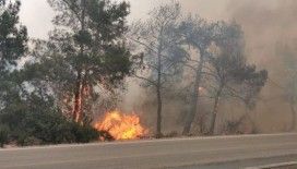 KKTC'de çıkan yangın kontrol altına alındı