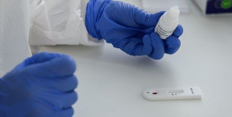 Kovid-19 antikorları virüse karşı bağışıklık kazanılmasını sağlayabilir