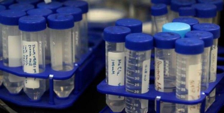 ABD'li bilim insanı: Yakında çıkacak bir koronavirüs aşısına bel bağlamayın