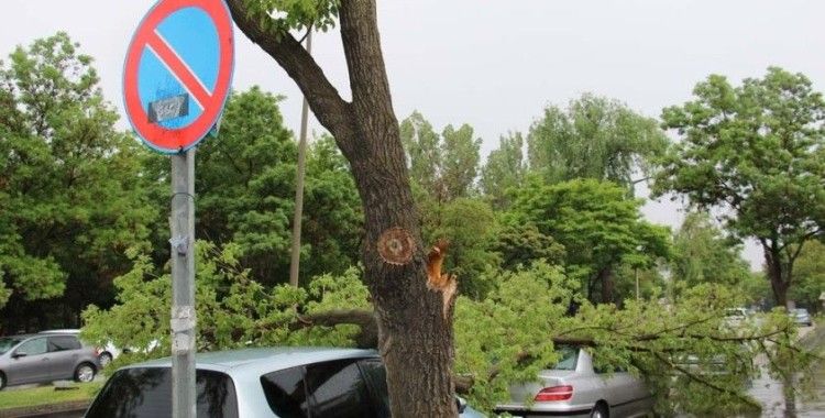 Park yasağı bulunan bölgeye park etti, aracının üstüne ağaç düştü
